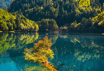 九寨沟风景区第 230 张图片