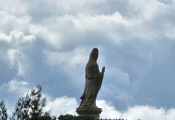 普陀山风景区第 367 张图片