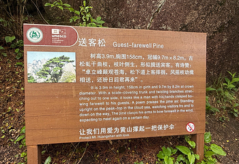 黄山风景区第 148 张图片