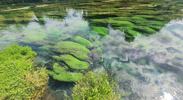 Te Waihou (Leslie Road) Car Park