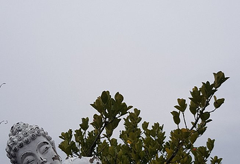 看月庵第 12 张图片