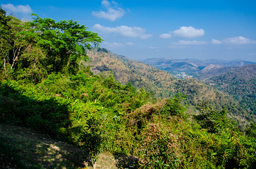 Khao Yai National Park Checkpoint - Pak Chong第 4 张图片
