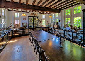 马斯特里赫特自然历史博物馆