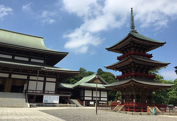 成田山新胜寺第 6 张图片