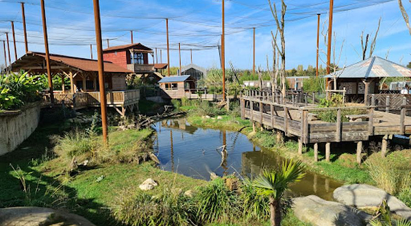 鹦鹉世界- 沉浸式动物公园