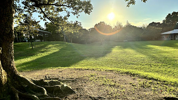 德岛县立文化森林综合公园