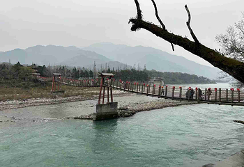 都江堰景区第 247 张图片