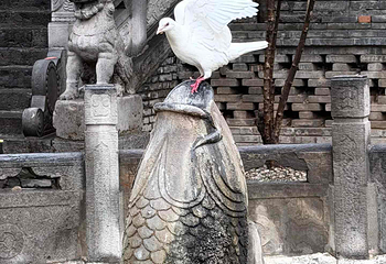 大兴善寺第 59 张图片