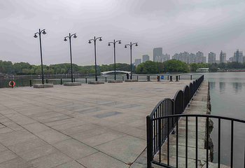 世纪公园第 58 张图片