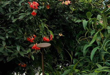 新加坡滨海湾花园第 268 张图片