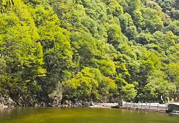 太平国家森林公园第 105 张图片
