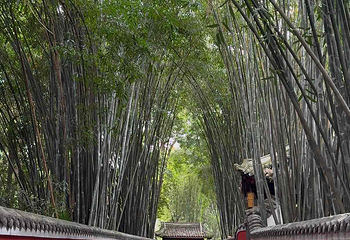 杜甫草堂第 381 张图片