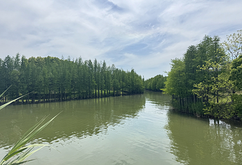 苏州太湖国家湿地公园第 34 张图片