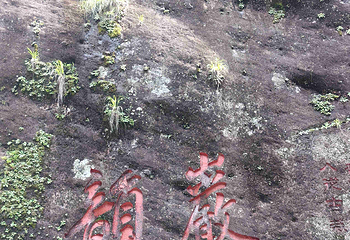 武夷山国家公园第 162 张图片