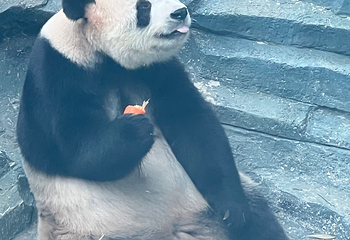 大连森林动物园第 139 张图片
