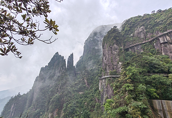 莽山五指峰景区第 74 张图片