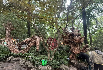 灵隐寺第 211 张图片