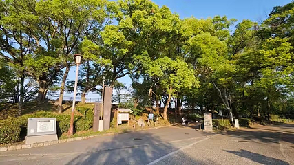 大阪城公园第 238 张图片