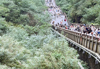 天门山国家森林公园第 699 张图片
