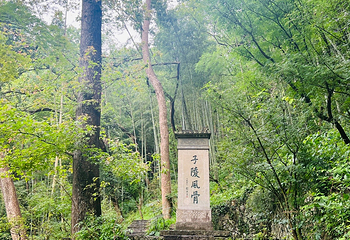 富春江第 45 张图片