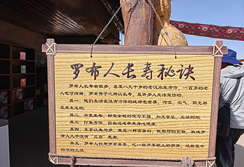 罗布人村寨第 31 张图片