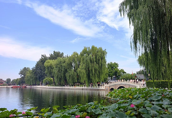 什刹海风景区第 172 张图片