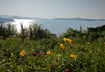 朱家尖大青山景区第 67 张图片