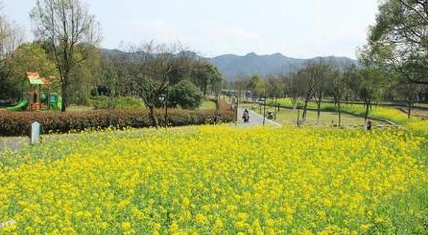 东钱湖旅游度假区-东钱湖花海