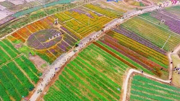 山海经农业大观园