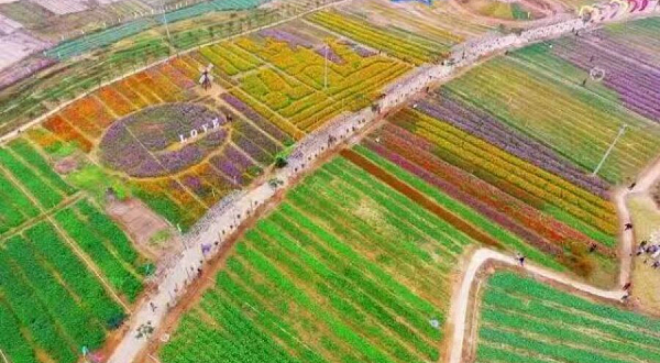 山海经农业大观园