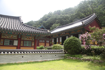 新兴寺第 11 张图片