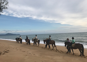 普吉骑术俱乐部