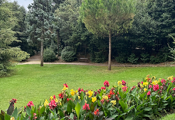 The Angiolina Park - Villa Angiolina第 18 张图片