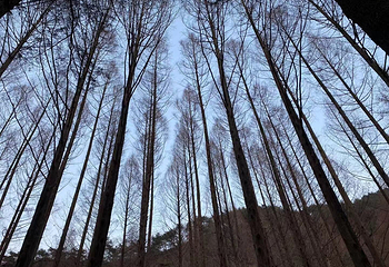长泰山自然休养林第 10 张图片