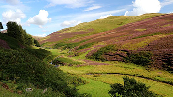 Glencorse Reservoir, Penicuik