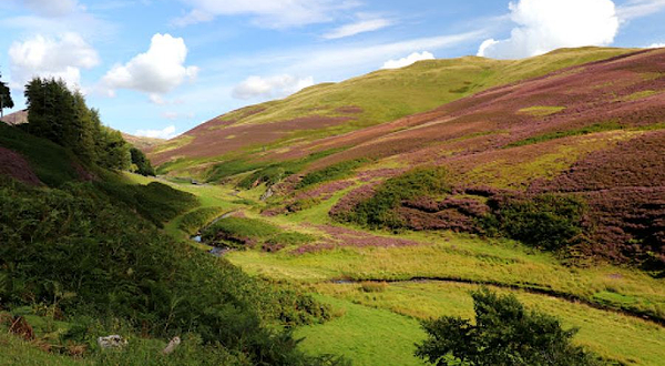 Glencorse Reservoir, Penicuik
