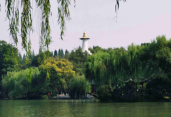 瘦西湖第 212 张图片