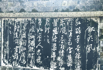 沈园第 75 张图片