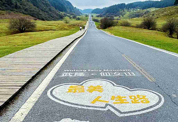 仙女山国家森林公园第 33 张图片