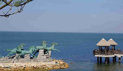 养马岛第 42 张图片