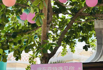 三亚亚特兰蒂斯水世界第 96 张图片
