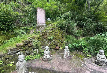 金湖第 36 张图片