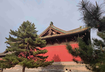 朔州崇福寺景区第 49 张图片