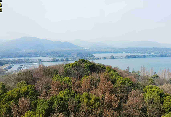 雷峰塔第 36 张图片