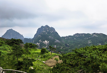 黄山风景区第 112 张图片