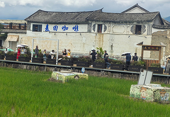喜洲麦田小火车第 19 张图片