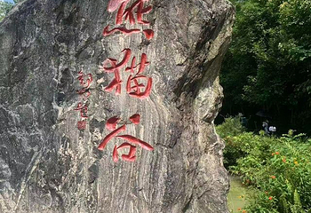 熊猫谷第 142 张图片