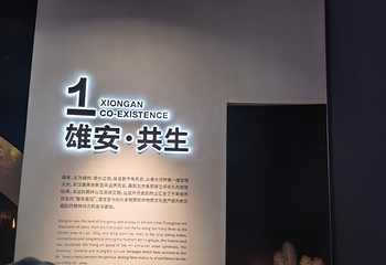 雄安印象第 23 张图片