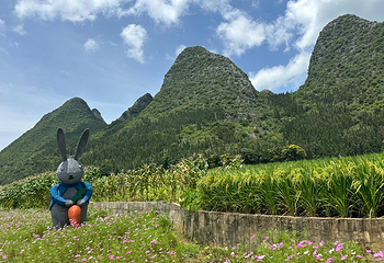 万峰林景区第 43 张图片