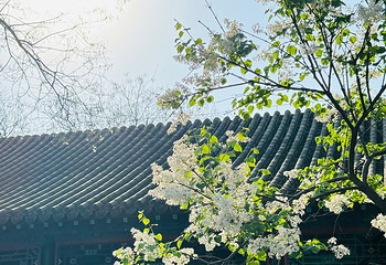 直隶总督署第 80 张图片